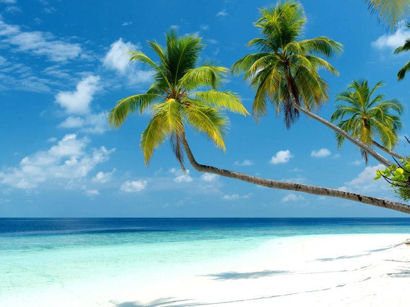 Viligili Mercure Maldives Kooddoo Adults-Only Resort - 35 Percent Off Return Domestic Transfers For Two Adults Until September מראה חיצוני תמונה
